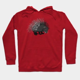 Prickly Porcupine Hoodie